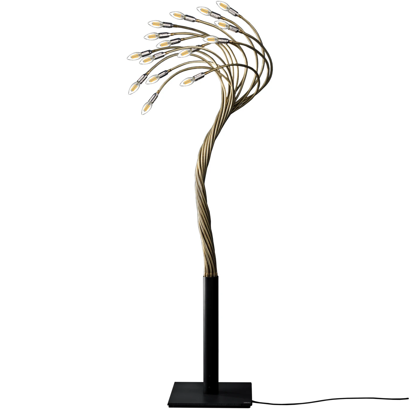 Catellani & Smith Sottovento 15