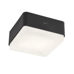 Nimbus Cubic 36 Frame