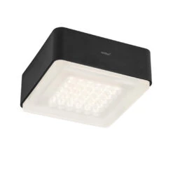 Nimbus Modul Q 36 Frame