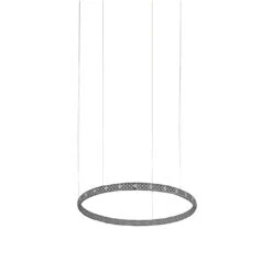 Rotaliana Squiggle H1