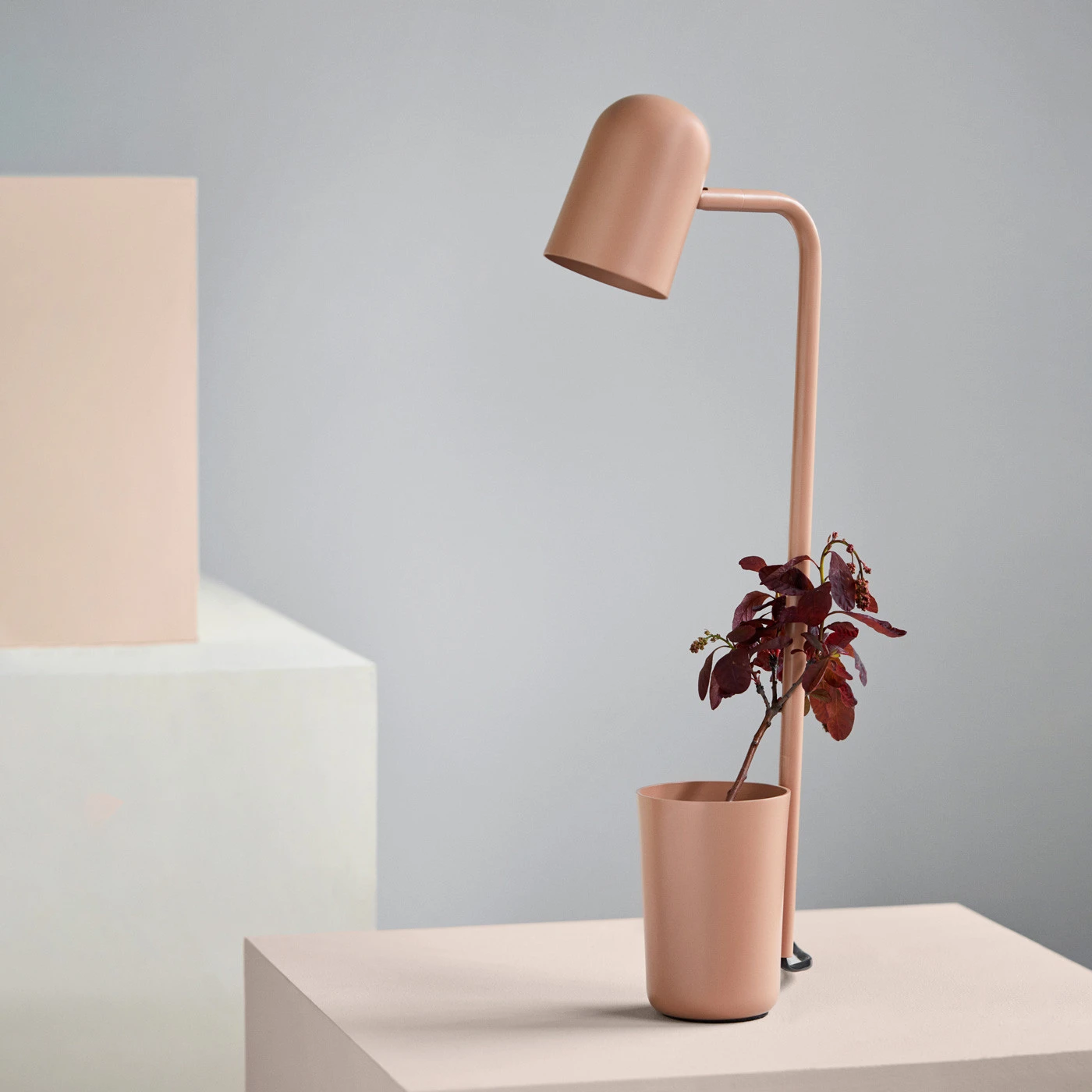 Northern Buddy Table 5 Northern Buddy Table – Bild 3