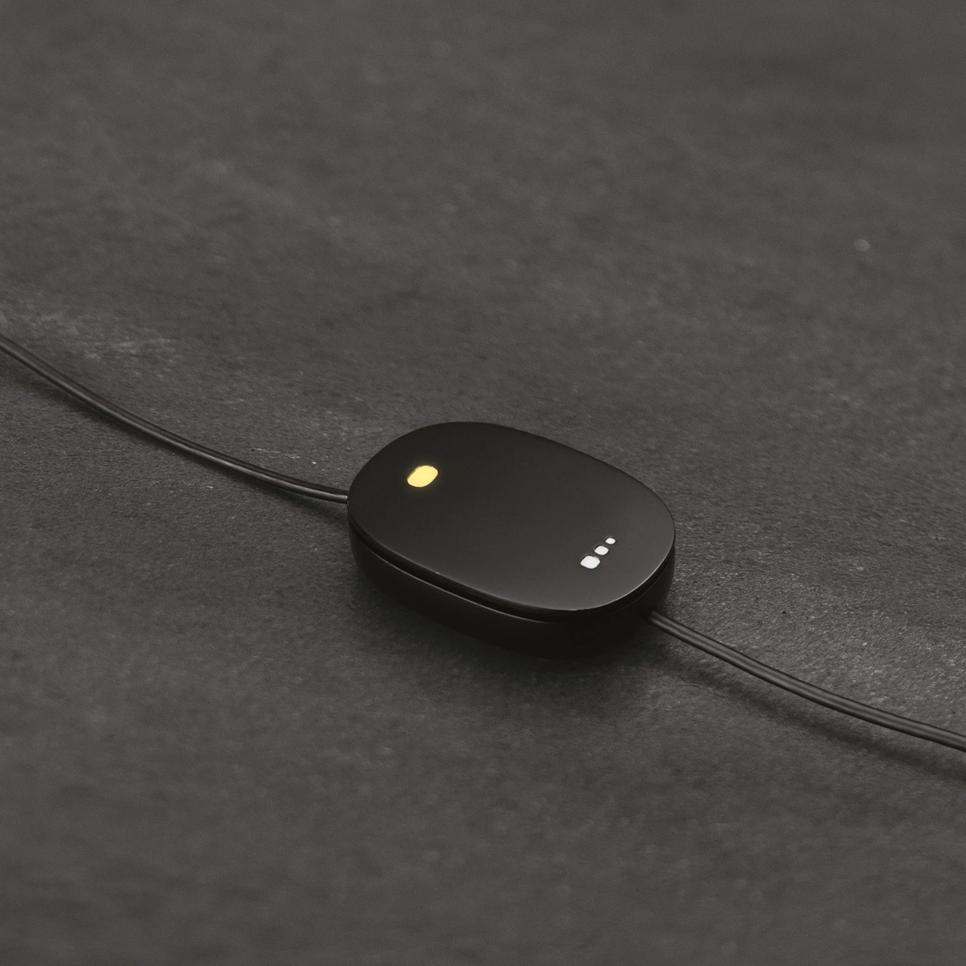 Flos Sawaru 5 Flos Sawaru – Bild 3