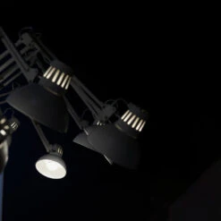 Moooi Dear Ingo 18 Moooi Dear Ingo -Beste Lichtgeschäft 004 Moooi Dear Ingo Pendelleuchte detail 24849 schwarz 52a16a21e4c5c46be5410787967c4fc3