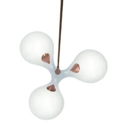 Next Enterprise PL 21 Next Enterprise PL -Beste Lichtgeschäft 005 Next Enterprise PL frei2 74945 Kupfer braun b8057505773f2edf068d0a6fa5de0153