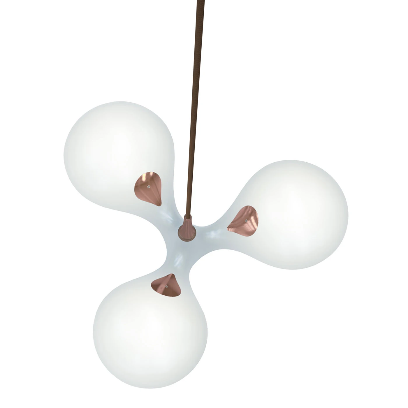 Next Enterprise PL 5 Next Enterprise PL – Bild 3