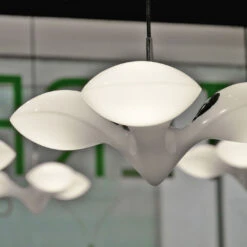 Next Enterprise PL 23 Next Enterprise PL -Beste Lichtgeschäft 007 Next Enterprise Citta ad0002cde7573135b34fd7ad78413688