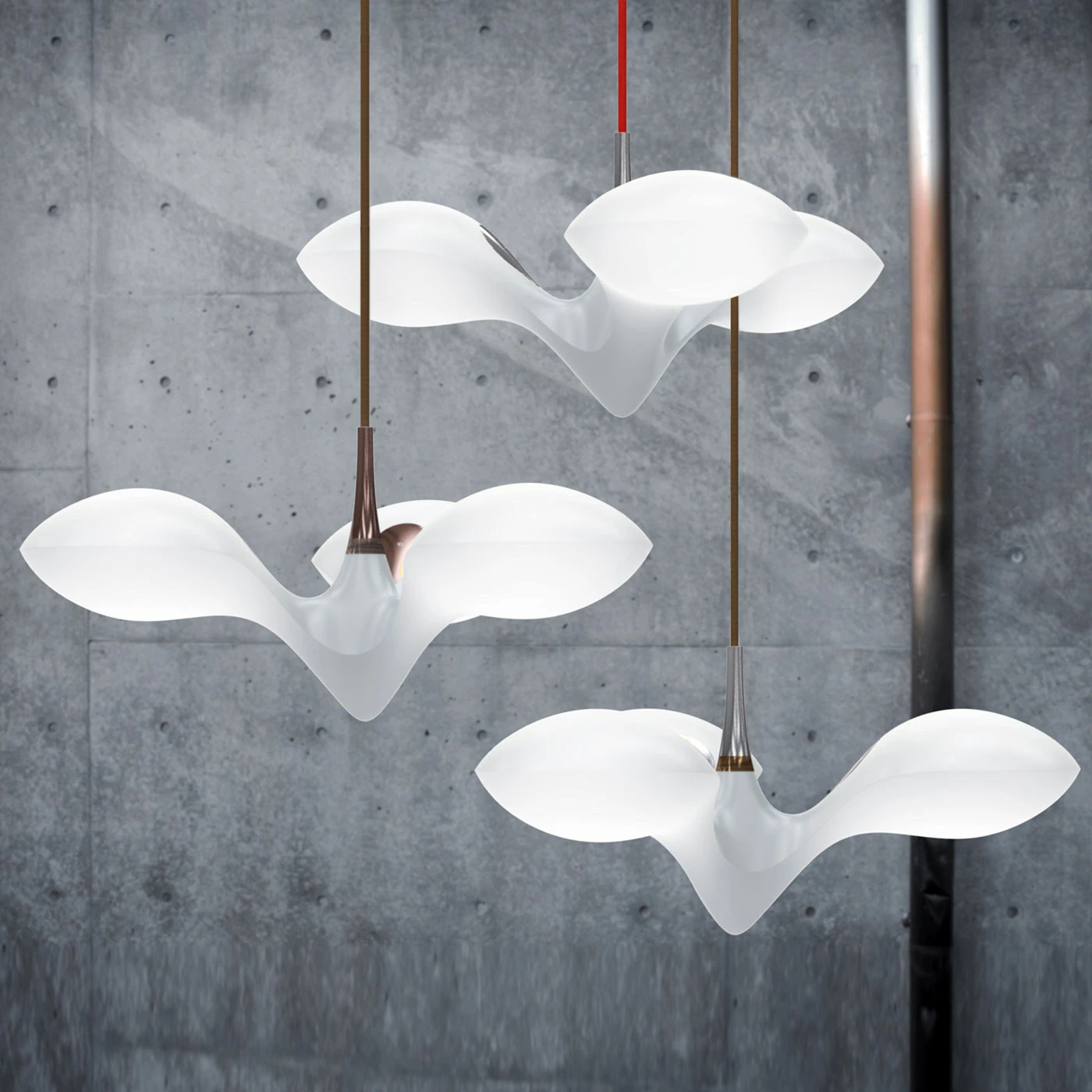 Next Enterprise PL 11 Next Enterprise PL – Bild 9