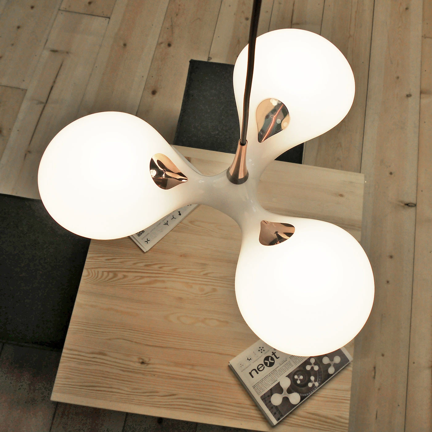 Next Enterprise PL 12 Next Enterprise PL – Bild 10